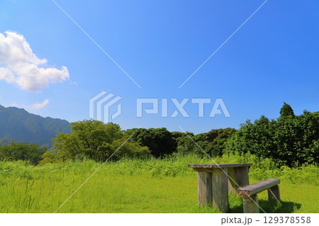 草原　樹木　青空　雲　山地　テーブル　ベンチ 129378558