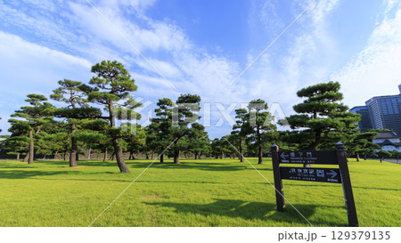 皇居前広場から見た高層ビル 129379135