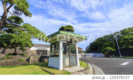 皇居前広場から見た高層ビル 129379137