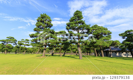 皇居前広場から見た高層ビル 129379138
