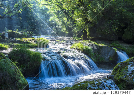 光芒の菊池渓谷 129379447