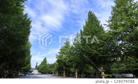 鳥居のある風景 129379788
