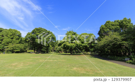 北の丸公園の夏　 129379907