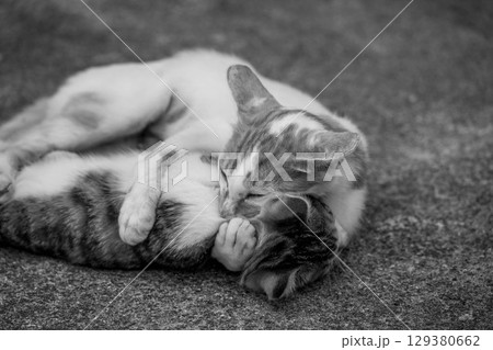 母性~抱きしめたい~ 母性~抱きしめたい~ 129380662