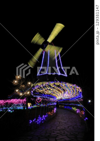 冬の夜に色鮮やかに彩られた霞ヶ浦総合公園のイルミネーション 129381147