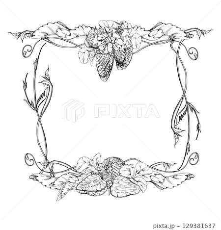 Strawberry hanging on stems with vines tendrils, ripe garden berry pineberry strasberry. Isolated hand drawn vector ink vignette frame. Farmers market, eco gardening stationery, food packaging cards 129381637
