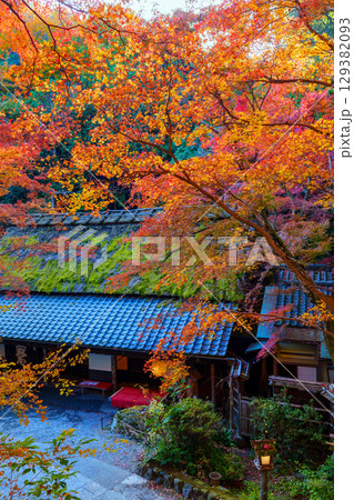 鮮やかな紅葉の奥嵯峨 鳥居本 鮮やかな紅葉の奥嵯峨 鳥居本 129382093