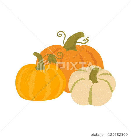 Pumpkins hand draw vector illustration. Agricultural produce various shape. Autumn vegetables on white background. Organic food. Fall harvest Pumpkins hand draw vector illustration. Agricultural produce various shape. Autumn vegetables on white background. Organic food. Fall harvest 129382509