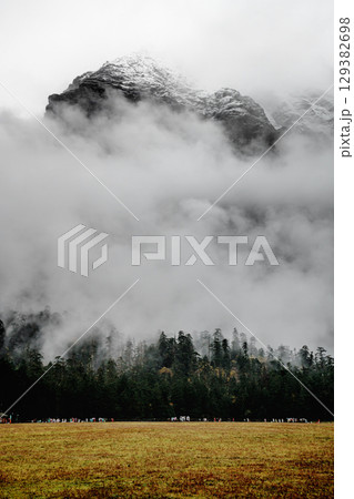 Misty Peaks Over Spruce Meadow in Yulong Snow Mountain, Lijiang, China Misty Peaks Over Spruce Meadow in Yulong Snow Mountain, Lijiang, China 129382698