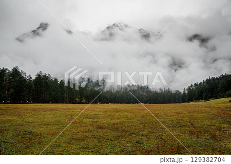 Misty Peaks Over Spruce Meadow in Yulong Snow Mountain, Lijiang, China Misty Peaks Over Spruce Meadow in Yulong Snow Mountain, Lijiang, China 129382704