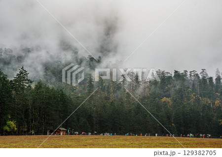 Misty Peaks Over Spruce Meadow in Yulong Snow Mountain, Lijiang, China Misty Peaks Over Spruce Meadow in Yulong Snow Mountain, Lijiang, China 129382705