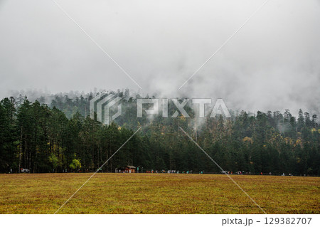 Misty Peaks Over Spruce Meadow in Yulong Snow Mountain, Lijiang, China 129382707