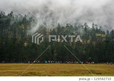 Misty Peaks Over Spruce Meadow in Yulong Snow Mountain, Lijiang, China Misty Peaks Over Spruce Meadow in Yulong Snow Mountain, Lijiang, China 129382710