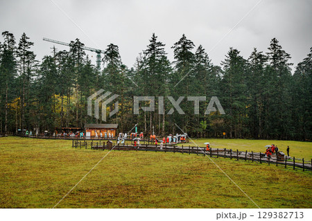 isitors Walking Along Wooden Pathway in Spruce Meadow, Yulong Snow Mountain, China isitors Walking Along Wooden Pathway in Spruce Meadow, Yulong Snow Mountain, China 129382713