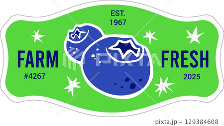 Farm Fresh Organic Blueberry Illustrated Produce Sticker Design Template PLU Code. Vector Package Ta Farm Fresh Organic Blueberry Illustrated Produce Sticker Design Template PLU Code. Vector Package Ta 129384608