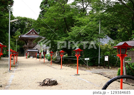 アジサイが満開 音羽山 清水寺 129384685