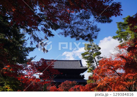 京都の紅葉 京都の紅葉 129384816