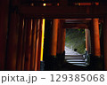 誰もいない深夜の伏見稲荷 129385068
