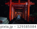 誰もいない深夜の伏見稲荷 129385084