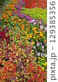 カラフルな花壇 129385356