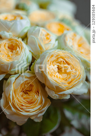 Beautiful yellow pion-shaped rose. Bouquet Shrub roses. Illuminating yellow. 129385684