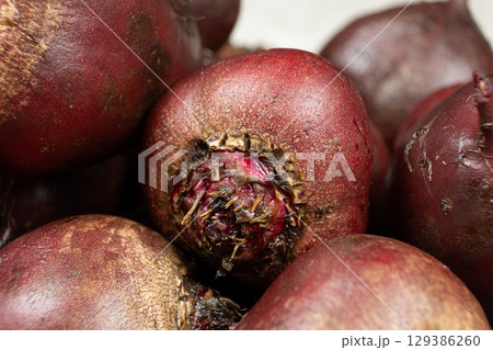 Organic Red Beetroot Vegetable Unpeeled and Uncut Organic Red Beetroot Vegetable Unpeeled and Uncut 129386260