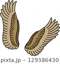 茶色のフワフワな鳥の翼 129386430