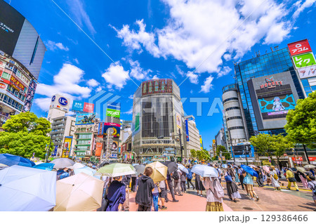 日本の東京都市景観枯山水撤去…渋谷のハチ公像脇に広い空間が誕生したが、この日は日傘の大行列=8月8日 日本の東京都市景観枯山水撤去…渋谷のハチ公像脇に広い空間が誕生したが、この日は日傘の大行列=8月8日 129386466
