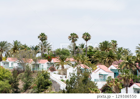 青空の下の荒涼として乾燥して地層が見えるはげ山とヤシの木に囲まれた街並み　フエルテベンテュラ島にて 129386550