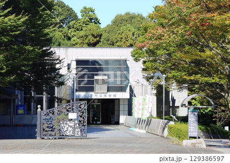 松戸市立博物館　千葉県松戸市千駄堀　21世紀の森と広場 129386597