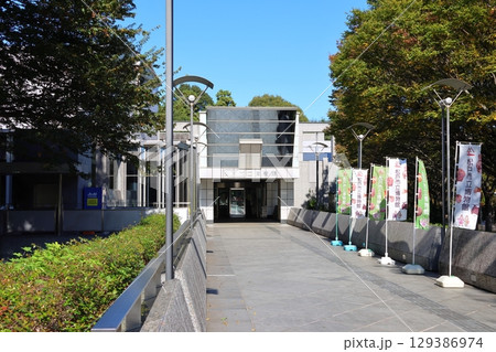 松戸市立博物館　千葉県松戸市千駄堀　21世紀の森と広場 129386974