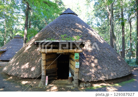 松戸市立博物館　縄文の森　復元竪穴住居　千葉県松戸市千駄堀　松戸市制50周年記念　21世紀の森と広場 129387027