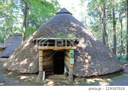 松戸市立博物館 縄文の森 復元竪穴住居 千葉県松戸市千駄堀 松戸市制50周年記念 21世紀の森と広場 松戸市立博物館 縄文の森 復元竪穴住居 千葉県松戸市千駄堀 松戸市制50周年記念 21世紀の森と広場 129387028