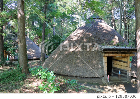 松戸市立博物館 縄文の森 復元竪穴住居 千葉県松戸市千駄堀 松戸市制50周年記念 21世紀の森と広場 松戸市立博物館 縄文の森 復元竪穴住居 千葉県松戸市千駄堀 松戸市制50周年記念 21世紀の森と広場 129387030