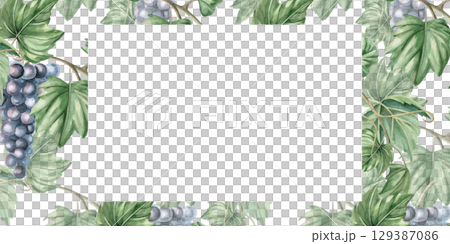 Rectangular frame with grapevine and ripe grapes. Isolated watercolor illustration for packaging design, restaurant menu, culinary blogs and magazines. 129387086