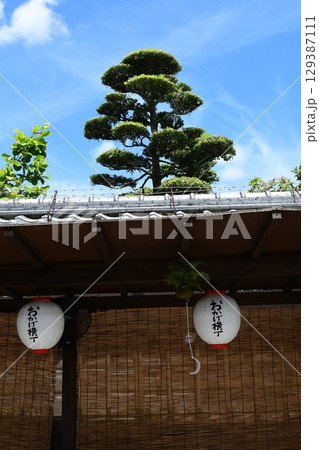 青空のおかげ横丁 129387111
