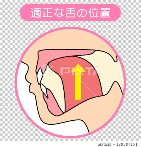 如何正確喵喵叫:正確且不正確的舌頭位置 如何正確喵喵叫:正確且不正確的舌頭位置 129387151
