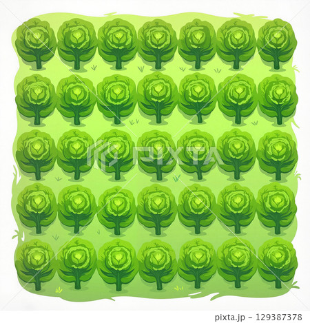 Neatly arranged lettuce plants showcasing symmetry in vibrant greens, growth concept 129387378