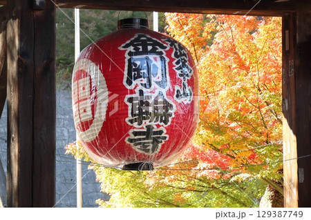 紅葉・金剛輪寺【滋賀県愛知郡愛荘町】 129387749