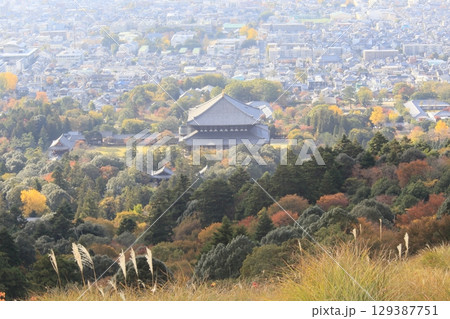 紅葉・若草山【奈良県奈良市】 紅葉・若草山【奈良県奈良市】 129387751