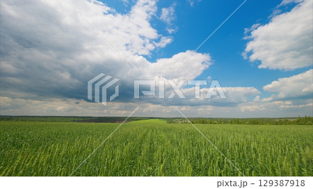 A Scenic and Lush Green Field That Lies Under a Beautiful and Dynamic Cloudy Sky Above It 129387918