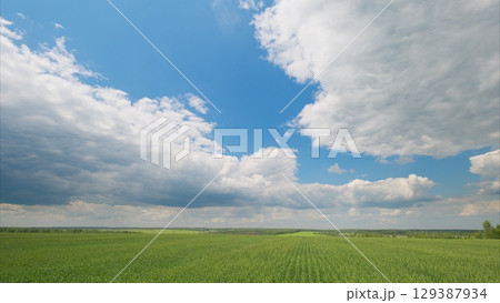 A Scenic Lush Green Field Spreading Beneath a Dynamic and Beautiful Cloudy Sky Above 129387934