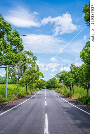 爽やかな夏の青空と緑の並木道 爽やかな夏の青空と緑の並木道 129387937