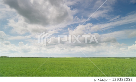 The Vibrant Green Fields Stretch Under a Dramatic and Cloudy Sky, Creating a Stunning View The Vibrant Green Fields Stretch Under a Dramatic and Cloudy Sky, Creating a Stunning View 129388058