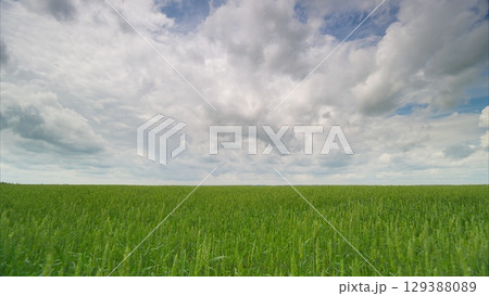 A Picturesque Expansive Green Field Sprawls Under a Dramatic and Cloudy Sky Above 129388089