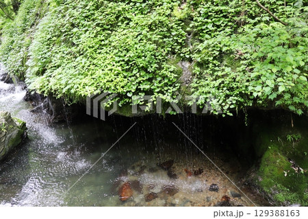 神庭の滝の下流にある玉垂の滝 129388163