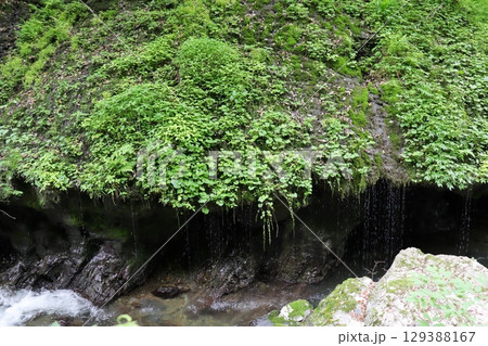 神庭の滝の下流にある玉垂の滝 神庭の滝の下流にある玉垂の滝 129388167