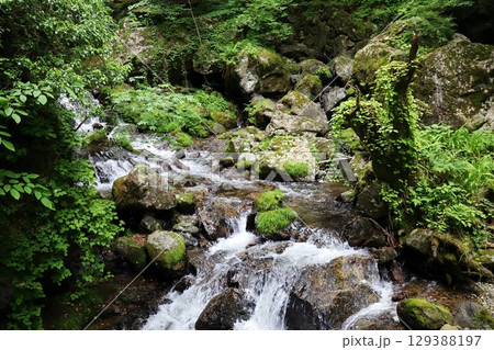 岡山県真庭市 神庭の滝自然公園 岡山県真庭市 神庭の滝自然公園 129388197