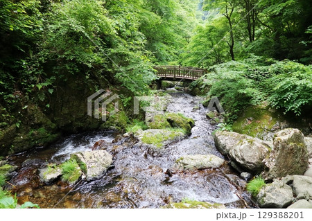 岡山県真庭市　神庭の滝自然公園 129388201