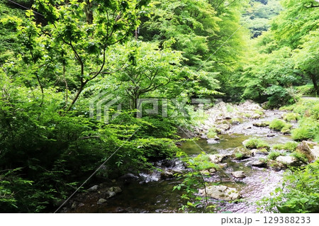 岡山県真庭市 神庭の滝自然公園 岡山県真庭市 神庭の滝自然公園 129388233
